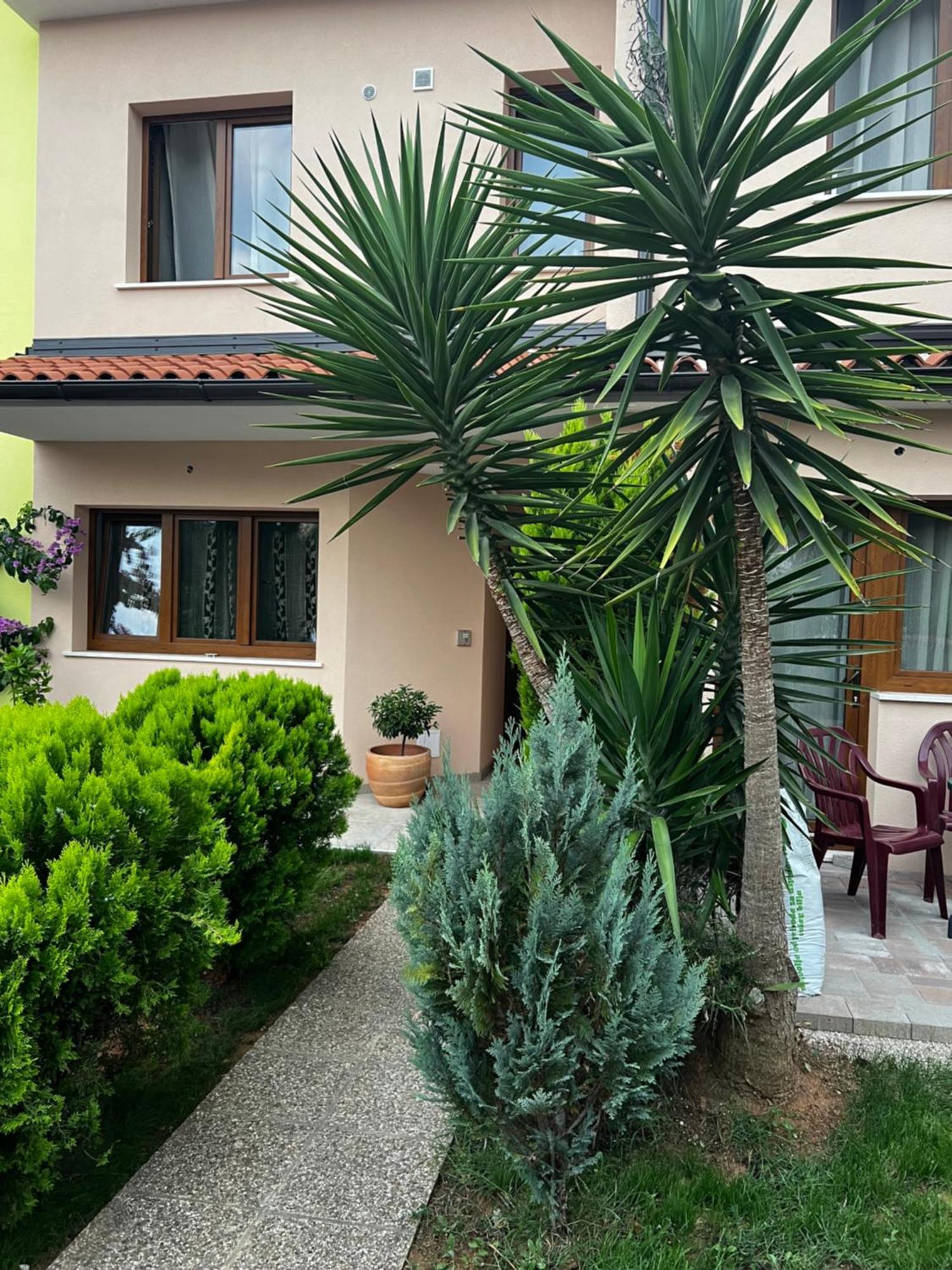 Eden Apartment Pula Bagian luar foto